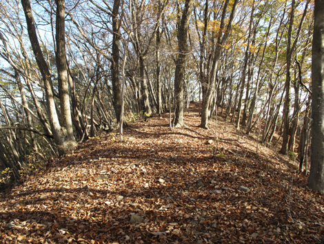 20181115hike (203)